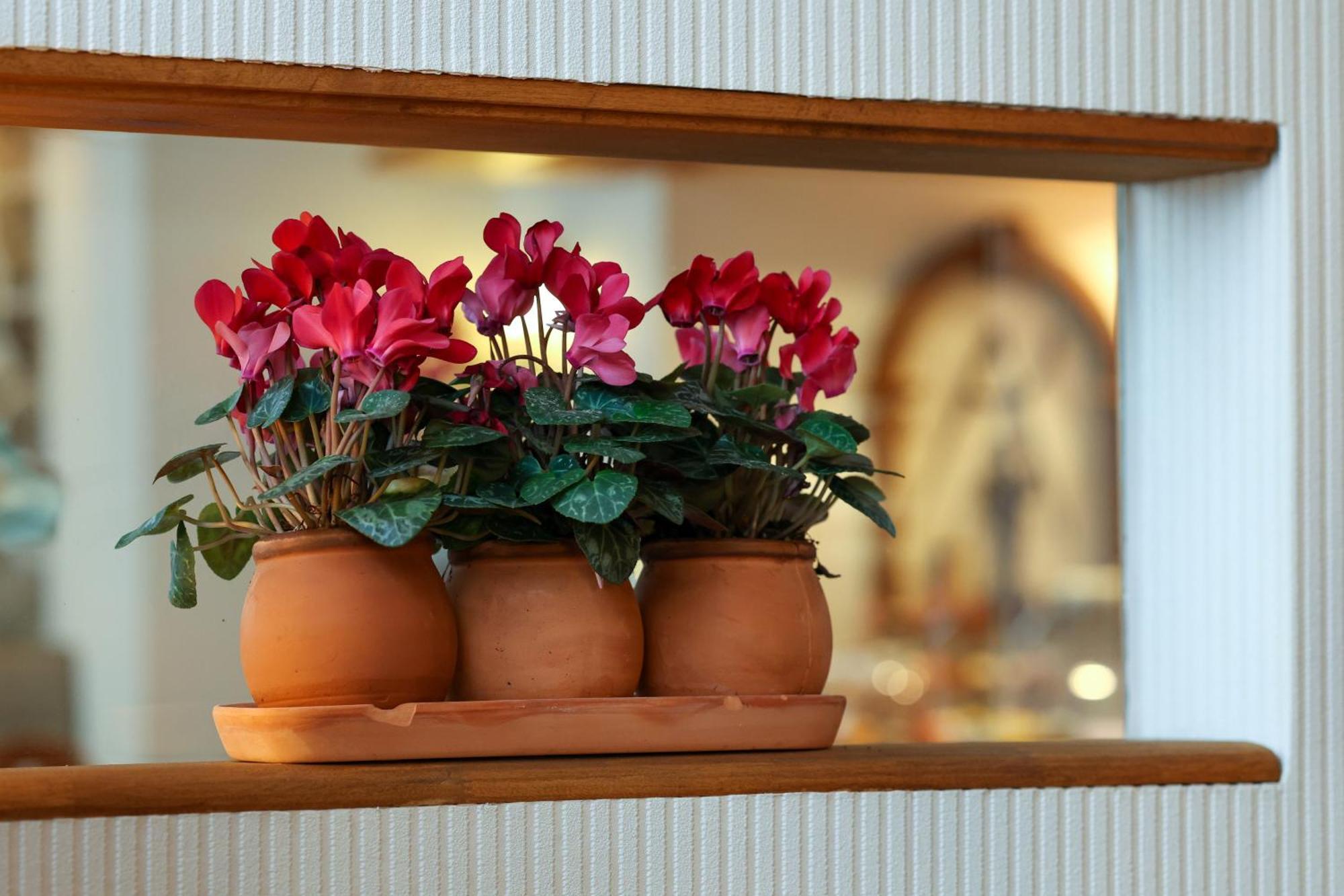 Franconia City Hotel Nürnberg Dış mekan fotoğraf
